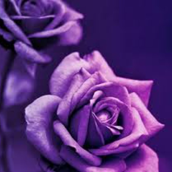 🌸Meet Your Posher🛍️💐 - Picture 7 of 14